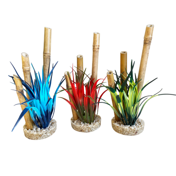 Planta Bamboo Forest Plants 20 CM