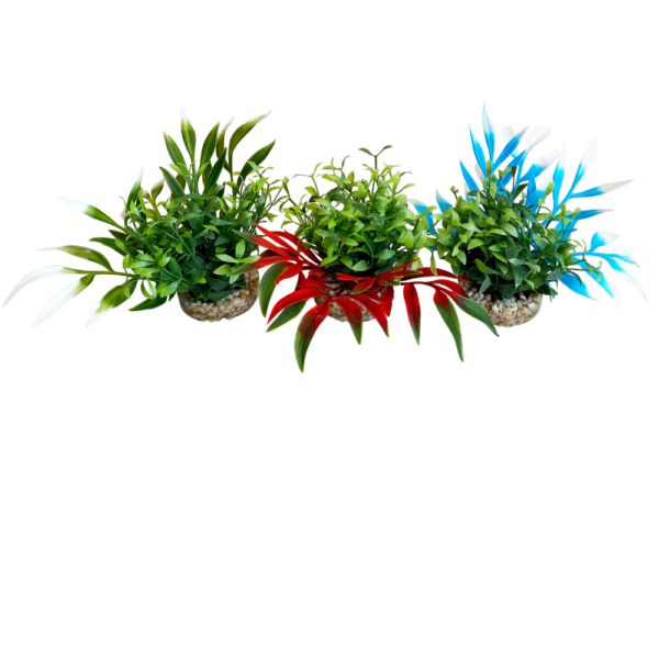 Planta Magic Nano Garden 10 CM