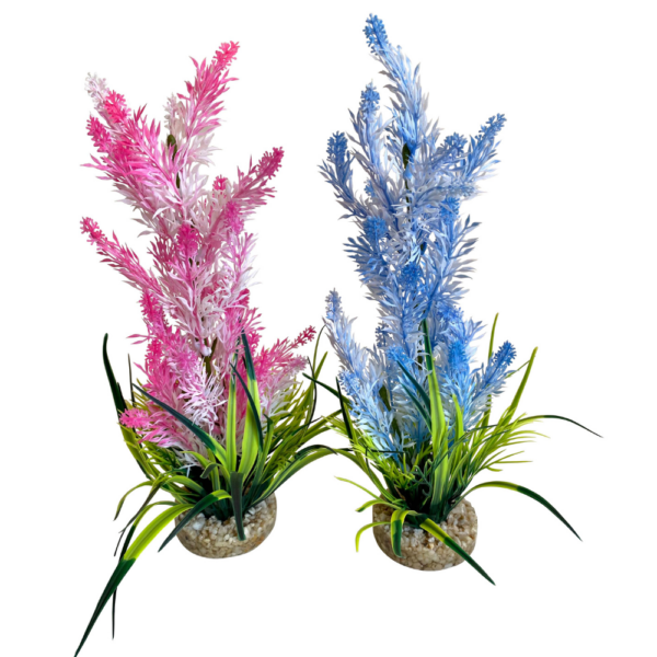 Planta Ice Colour Bush 30 CM