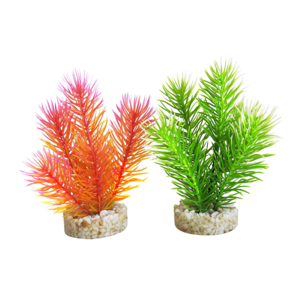 Planta Cabomba Pearl 14 CM