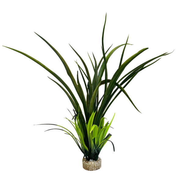 Planta Bioaqua Grass 26 CM