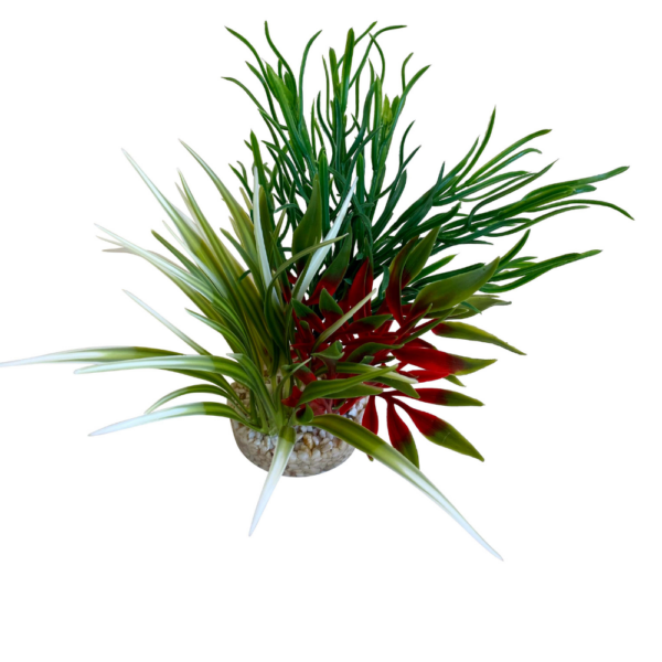 Planta Bioaqua Oasis 24 CM