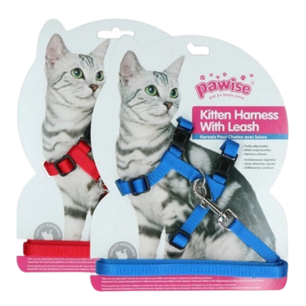 Arnes + Correa Kitten Rojo/Azul